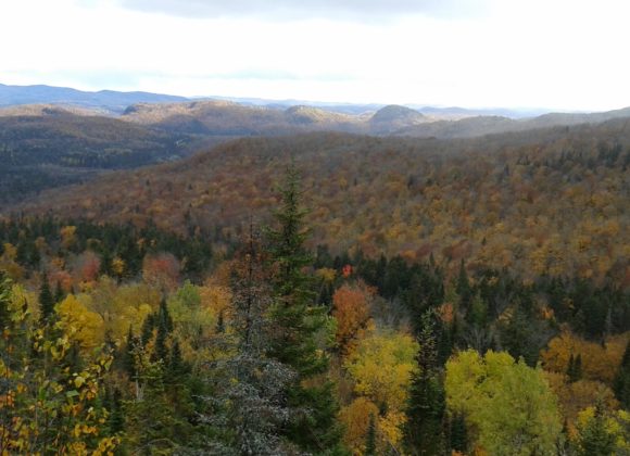 otoño