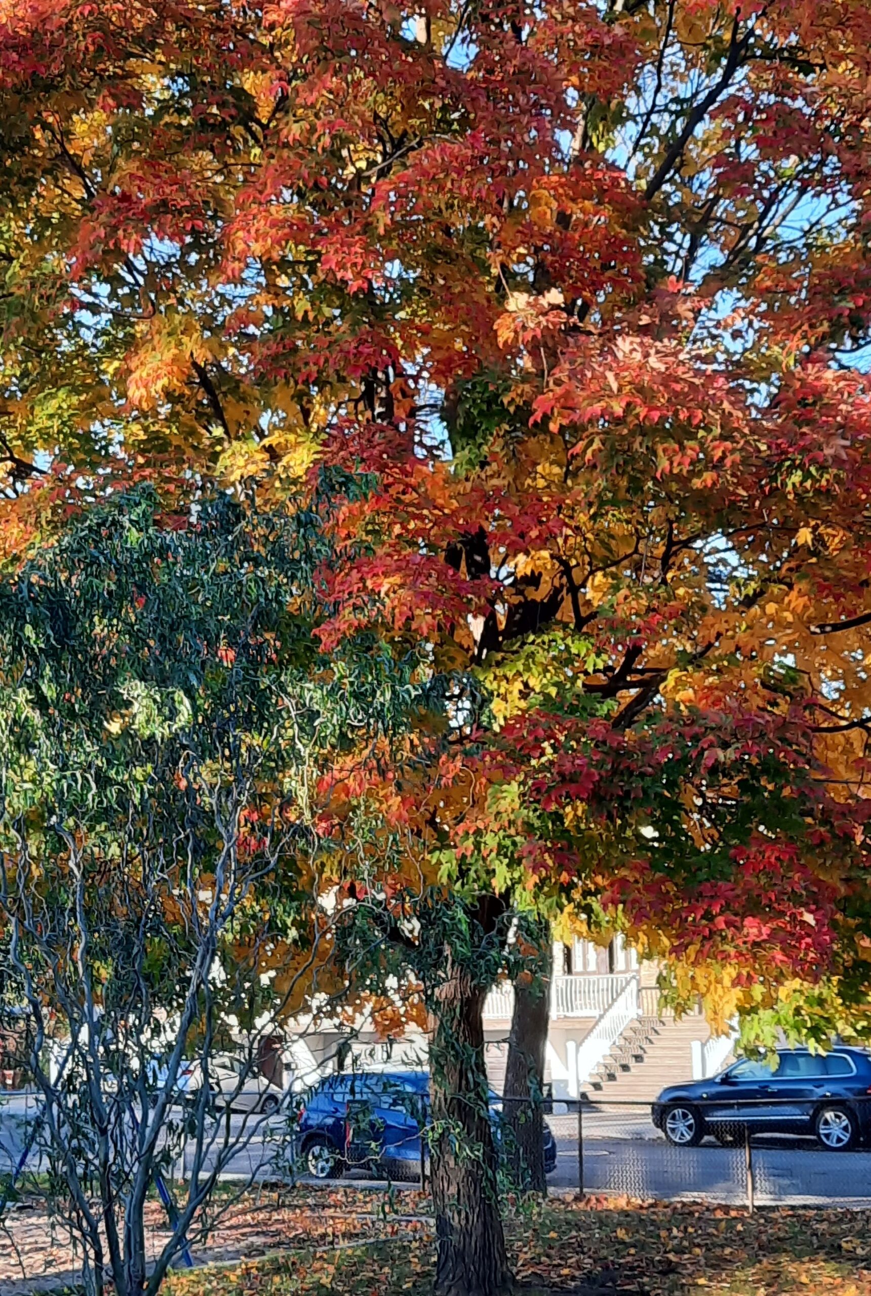 Nouveau cours d’espagnol débutant le 29 octobre