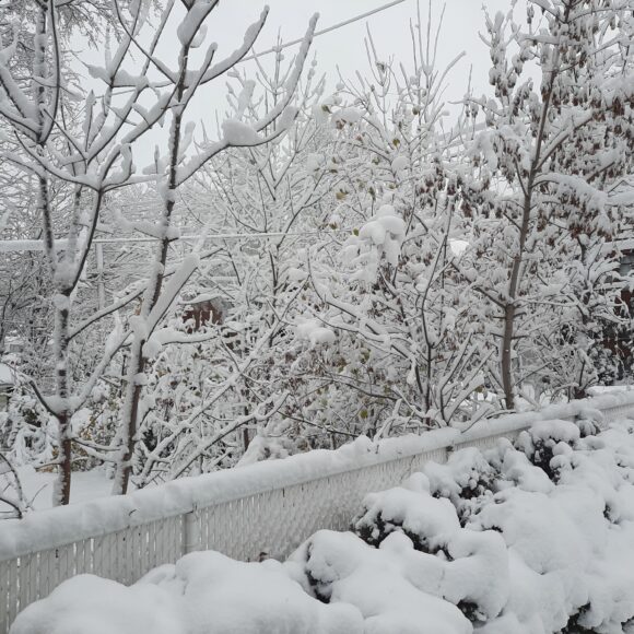 Nouvelle année et nouveau groupe débutant